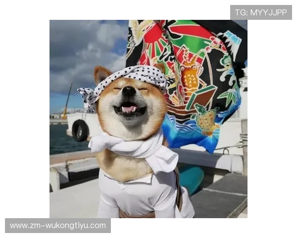 大阪刚买下比她家还大的狗屋，给两只柴犬开派对