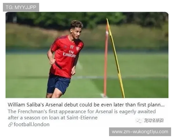 威廉·萨利巴：英超最佳阵容中卫的顶级蜕变解析