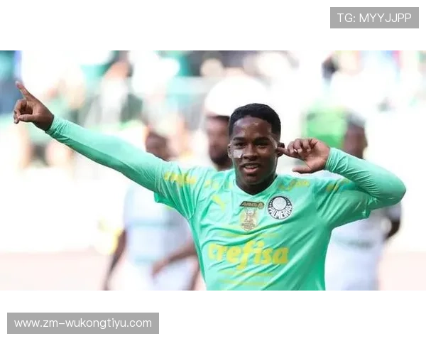 恩德里克早期高产效率解析