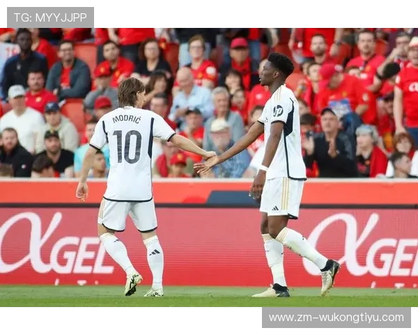 琼阿梅尼防守能力是否已达顶级水平