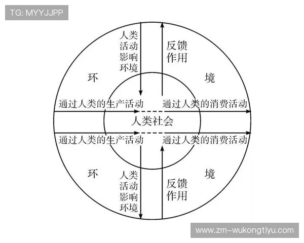 萨卡从多面手到绝对核心的角色演变解析